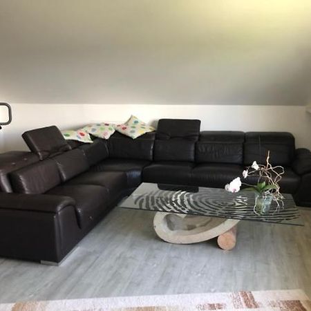 Ferienwohnung-Ameisenhardt Schleiden Esterno foto